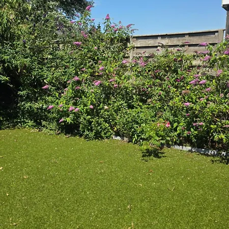 펜션 Sea 미들케르케