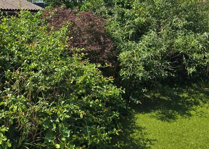 Sea Дом отдыха